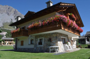 Chalet Bormio Stelvio